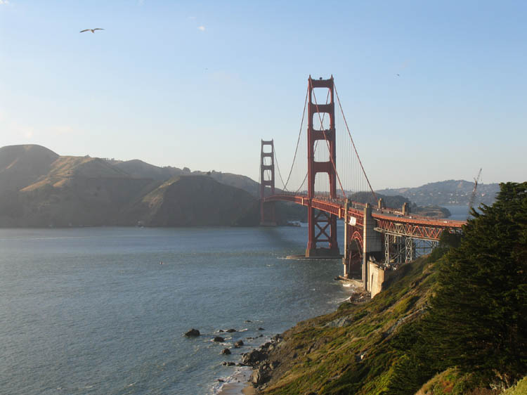 Tag21_55SF_